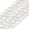 Electroplated Shell Pearl Beads Strands BSHE-G027-13A-2