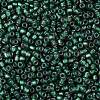 TOHO Round Seed Beads X-SEED-TR08-0270F-2