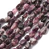 Natural Plum Blossom Tourmaline Beads Strands G-K395-A05-01-2