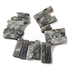 Natural Labradorite Beads Strands G-S386-D18-3