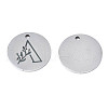 Non-Tarnish 304 Stainless Steel Charms STAS-T059-26P-A-3