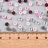 Frosted Glass Seed Beads SEED-N007-21A-4