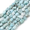 Natural Larimar Beads Strands G-K203-48-1