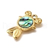 304 Stainless Steel Pave Natural Paua Shell Pendants STAS-C122-21F-01G-2