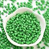 Baking Paint Glass Seed Beads X1-SEED-A032-02B-2
