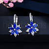 Brass Cubic Zirconia Hoop Earrings WGBE890-03-1