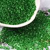 Transparent Colours Glass Seed Beads SEED-P006-02A-07-1