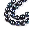 Natural Cultured Freshwater Pearl Beads Strands PEAR-N014-09A-05-4