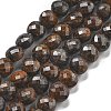 Natural Bronzite Beads Strands G-C179-A07-02-2