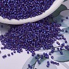 MIYUKI Delica Beads SEED-X0054-DB0696-4