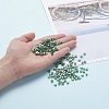 6/0 Glass Seed Beads SEED-YW0001-25F-7