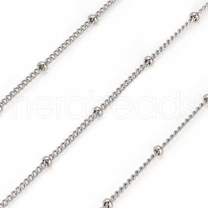 304 Stainless Steel Rondelle Beaded Satellite Chains CHS-G040-03P-1