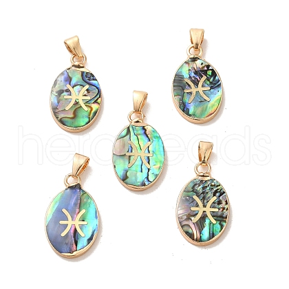 Constellation Natural Paua Shell Pendants KK-P265-01G-06-1