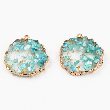 Resin Pendants RESI-R428-011F-1