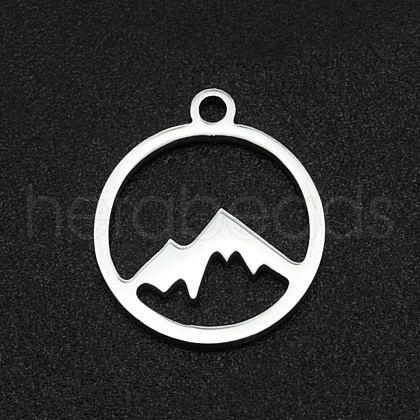 304 Stainless Steel Charms STAS-YW0002-21-1