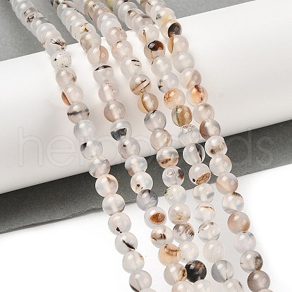 Natural Dendritic Agate Beads Strands G-A248-A07-01-1