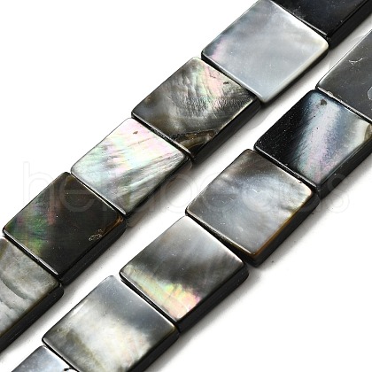 Natural Black Lip Shell Beads Strands BSHE-D300-07-12mm-1