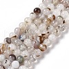 Natural Dendritic Agate Beads Strands G-C011-01B-1