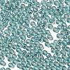 Glass Seed Beads SEED-H002-C-A049-3