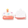 Opaque Resin Imitation Food Decoden Cabochons RESI-Z007-01D-2