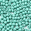 6/0 Glass Seed Beads SEED-S058-A-F439-3