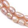 Natural Cultured Freshwater Pearl Beads Strands PEAR-P064-20I-05D-4