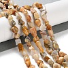 Natural Crazy Agate Beads Strands G-P497-01C-08-2