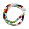 Handmade Lampwork Beads Strands LAMP-S070-09-2
