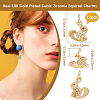 Beebeecraft 12Pcs Brass Micro Pave Cubic Zirconia Charms ZIRC-BBC0002-77-2