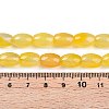 Dyed Natural Agate Beads Strands G-T141-15B-02-5
