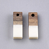 Resin & Walnut Wood Pendants RESI-S358-19B-2