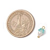 Flower Acrylic Charms PALLOY-JF03588-08-2