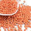 Baking Paint Glass Seed Beads SEED-A032-02J-1
