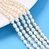 Natural Cultured Freshwater Pearl Beads Strands PEAR-N012-04V-1