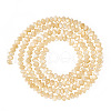  1 Strand Natural Trochus Shell Rondelle Beads Strands SSHEL-TA0001-16B-1