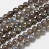 Natural Labradorite Round Bead Strands G-M262-6mm-09-1