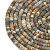 Natural Red Picasso Jasper/Polychrome Jasper Beads Strands G-P575-B10-4x2mm-3