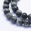 Natural Hawk's Eye Beads Strands G-L478-04-8mm-2