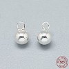 925 Sterling Silver Charms STER-T002-234S-3