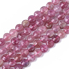 Natural Tourmaline Beads Strands G-S362-016-1