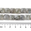 Natural Labradorite Beads Strands G-K359-B17-01-5