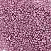 12/0 Glass Seed Beads SEED-A017-2mm-1110-2