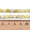 Natural Jade Beads Strands G-N346-04A-13-5