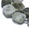 Natural Labradorite Beads Strands G-K245-J21-01-3