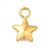 304 Stainless Steel Charms STAS-R159-22G-1