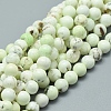 Natural Australian Turquoise(Jasper) Beads Strands G-D0010-06A-8mm-1