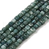 Natural Freshwater Shell Dyed Beads Strands SHEL-R100-11A-05-1