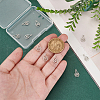 Unicraftale 10Pcs 304 Stainless Steel Charms STAS-UN0061-10-5
