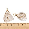 Raw Rough Natural Gemstone Iron Wire Wrapped Pendants G-H308-03G-01-3