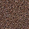 MIYUKI Delica Beads X-SEED-J020-DB0287-3